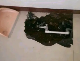 湘桥卫生间测漏水多少钱